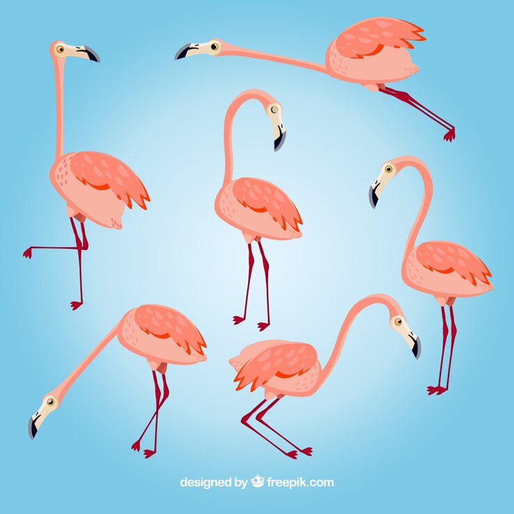 Vetor grátis coleção de flamingos bonito na mão desenhada estilo
