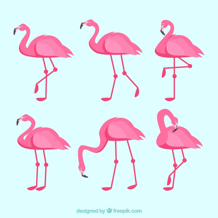 Vetor grátis coleção de flamingos com diferentes posturas em estilo simples