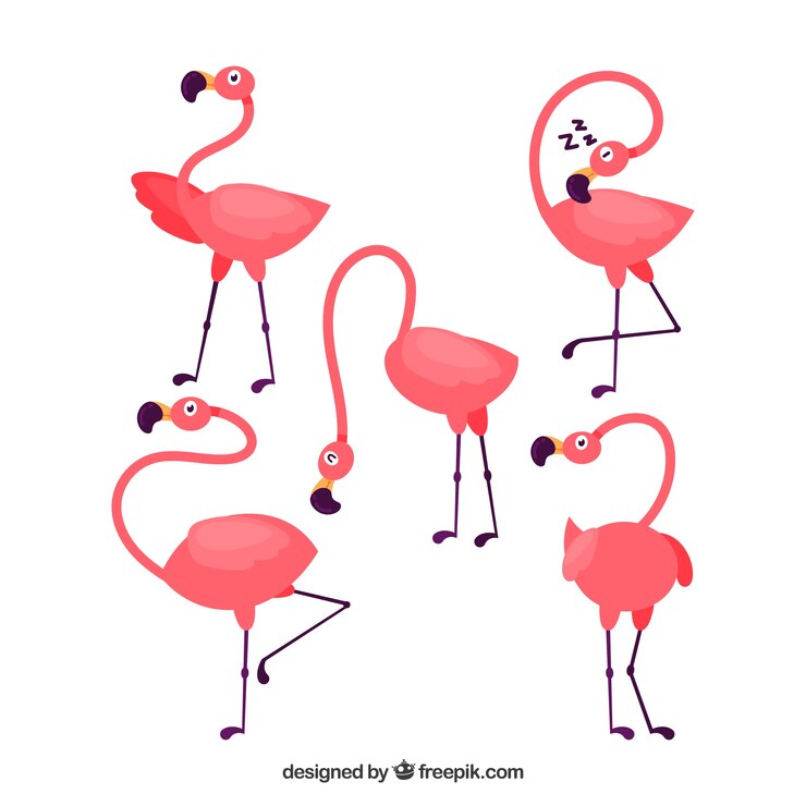 Vetor grátis coleção de flamingos plana em poses diferentes