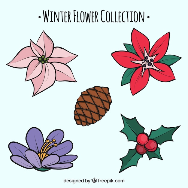 Vetor grátis coleção de flores de inverno