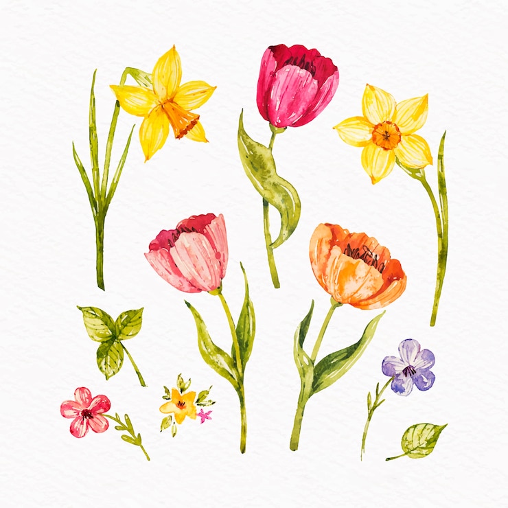 Vetor grátis coleção de flores de primavera aquarela colorida