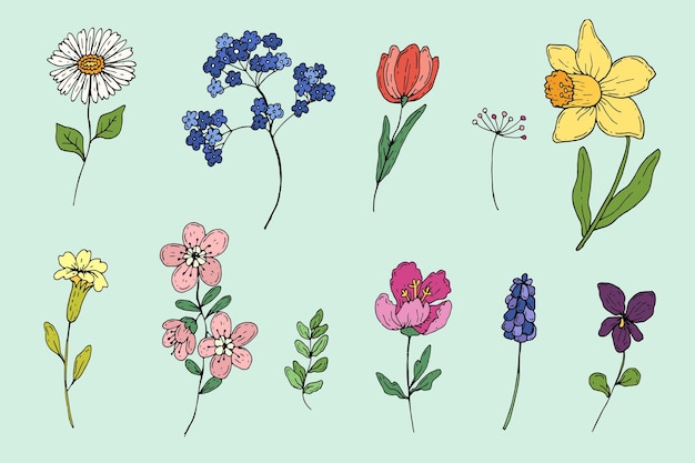 Coleção de flores de primavera desenhada à mão