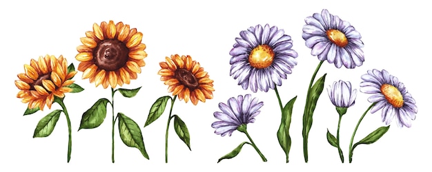 Vetor grátis coleção de flores de primavera em aquarela
