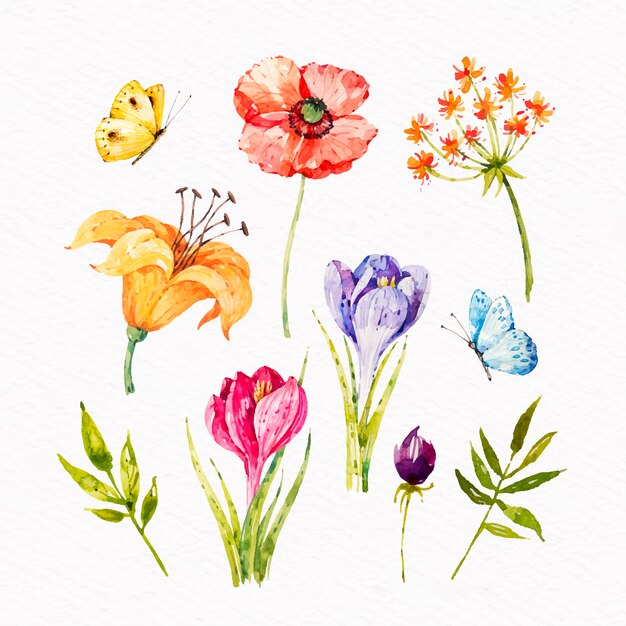 Coleção de flores de primavera em aquarela