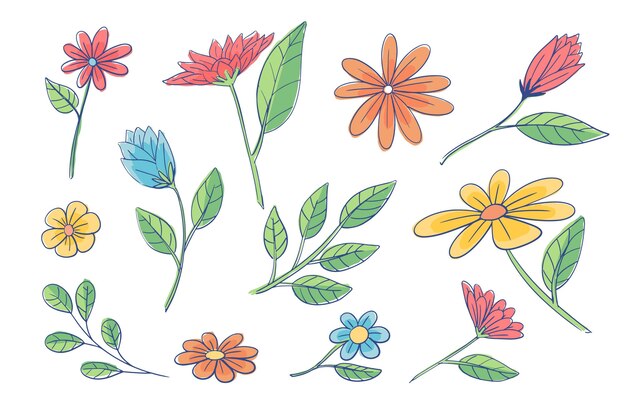 Coleção de flores desenhada à mão