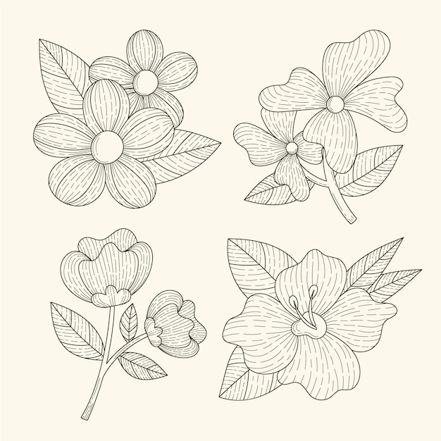 Vetor grátis coleção de flores desenhadas à mão para gravura