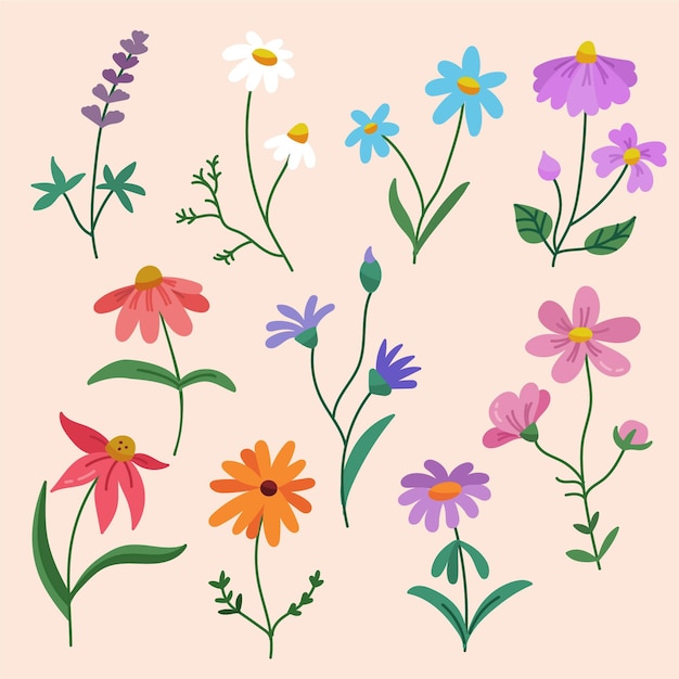 Coleção de flores desenhadas à mão