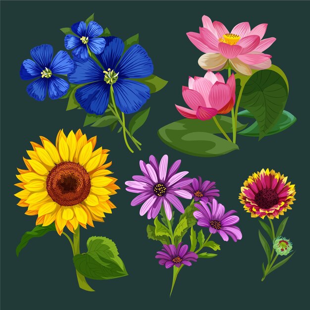 Coleção de flores desenhadas à mão