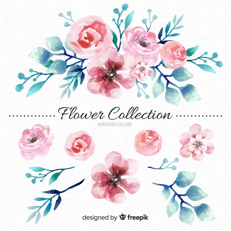 Vetor grátis coleção de flores em aquarela
