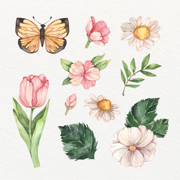 Coleção de flores isoladas em aquarela de primavera
