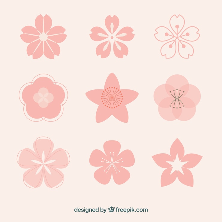 Vetor grátis coleção de flores rosa com variedade de modelos