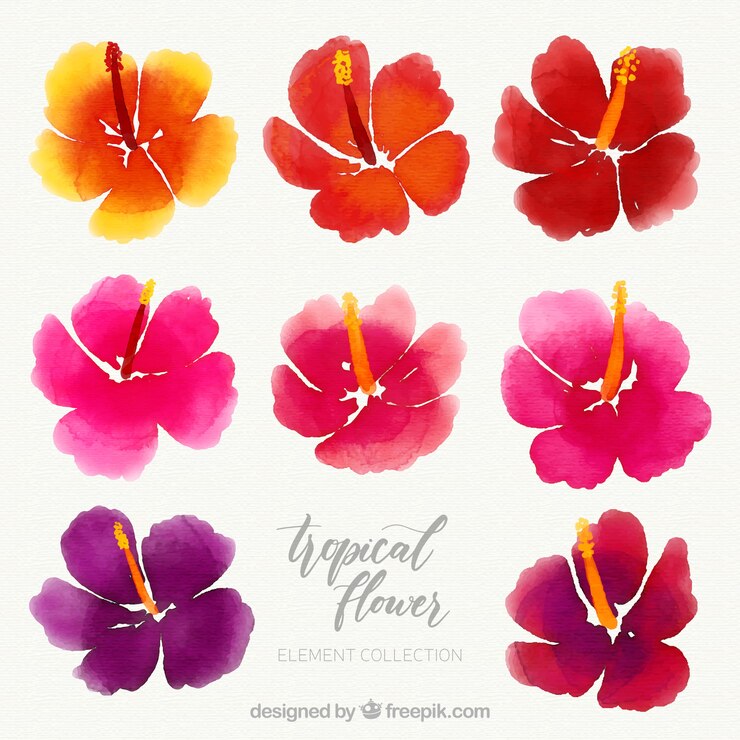 Vetor grátis coleção de flores tropicais em estilo aquarela