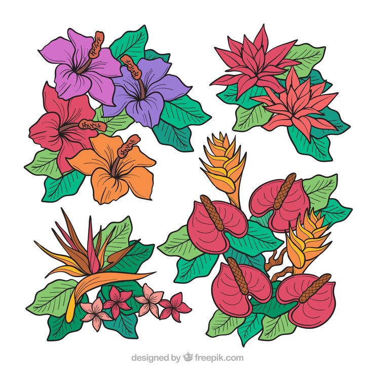 Vetor grátis coleção de flores tropicais na mão desenhada estilo