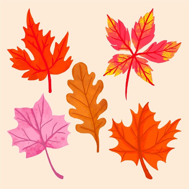 Coleção de folhas de outono design mão desenhada