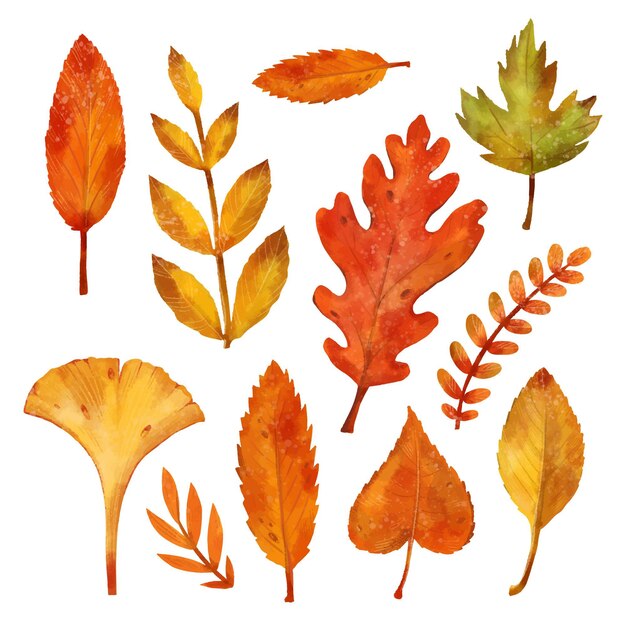 Coleção de folhas de outono em aquarela