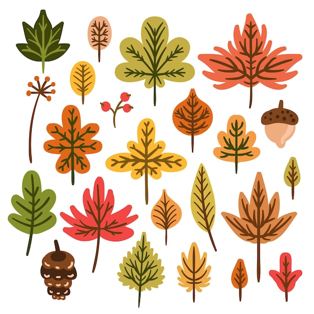 Coleção de folhas de outono mão desenhada