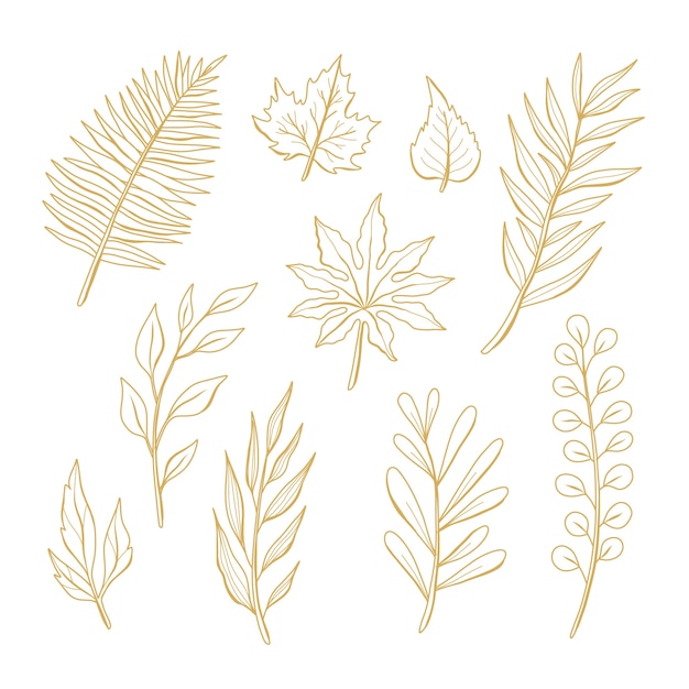 Coleção de folhas douradas desenhadas à mão