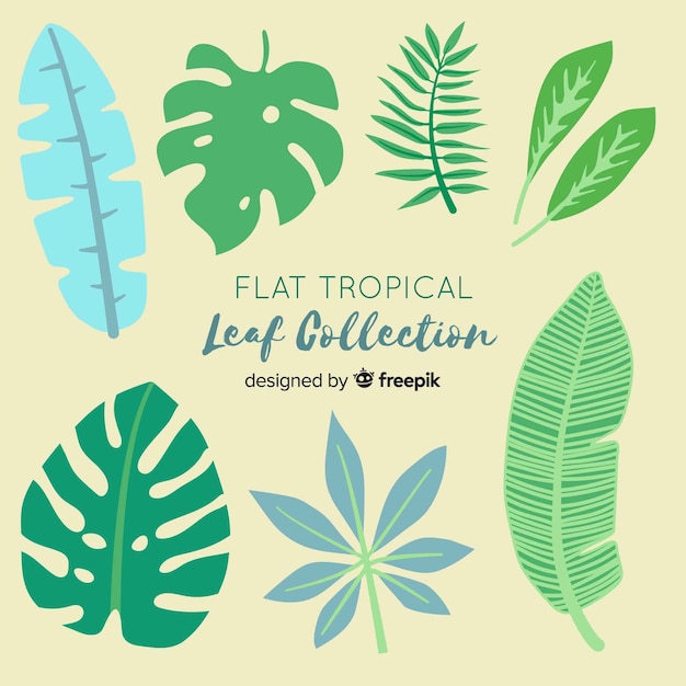 Vetor grátis coleção de folhas tropicais