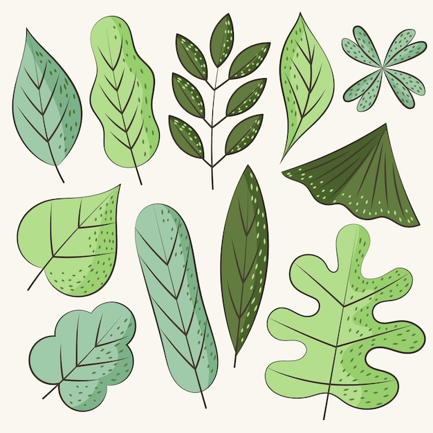 Vetor grátis coleção de folhas verdes desenhada à mão