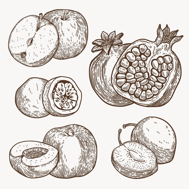 Coleção de frutas de ilustração desenhada à mão