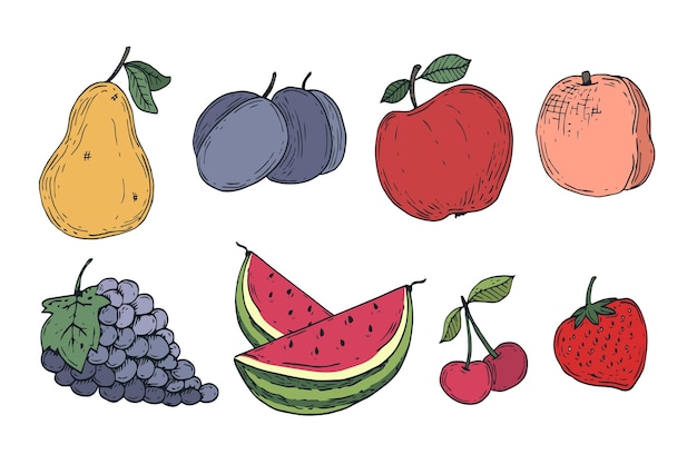 Coleção de frutas desenhada à mão