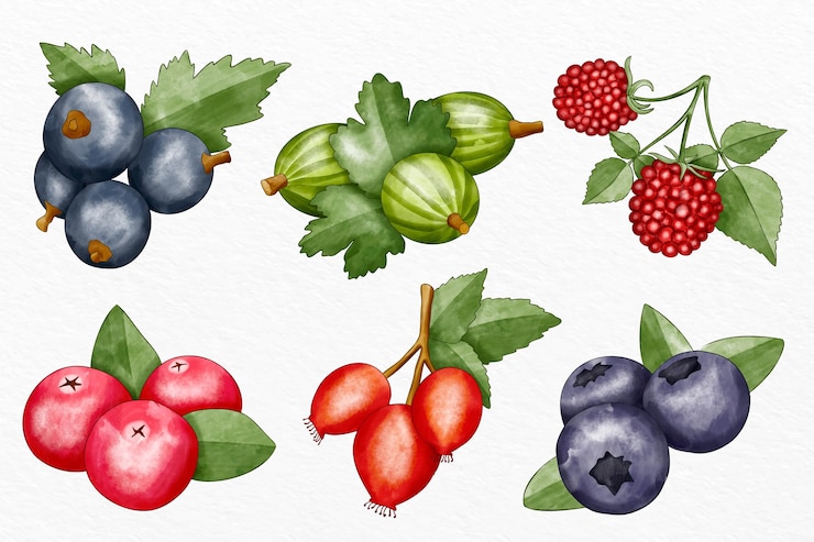Vetor grátis coleção de frutas diferentes ilustrada