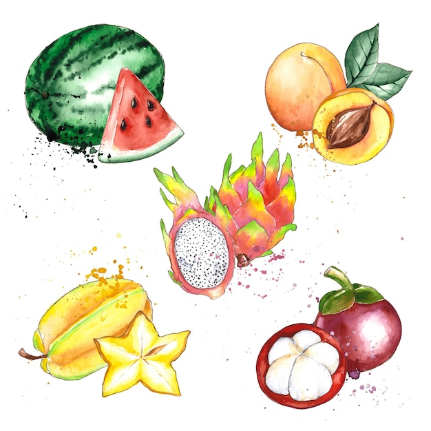 Coleção de frutas em aquarela pintada à mão