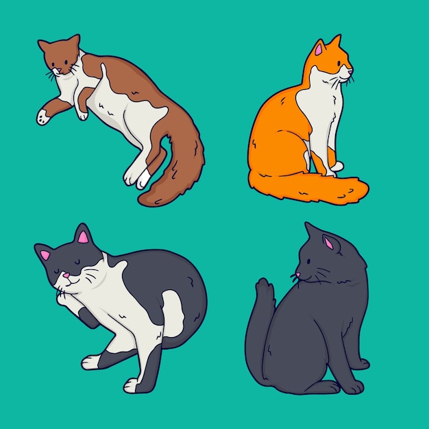 Coleção de gatos desenhados à mão