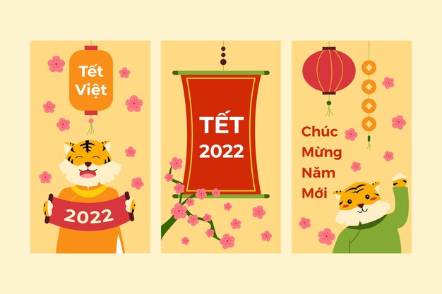 Coleção de histórias do instagram Flat tet