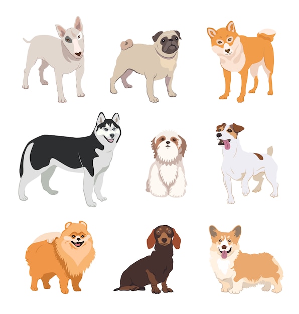 Coleção de ícone plana de raças de cães dos desenhos animados
