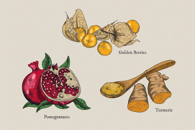 Vetor grátis coleção de ilustração de frutas superalimento