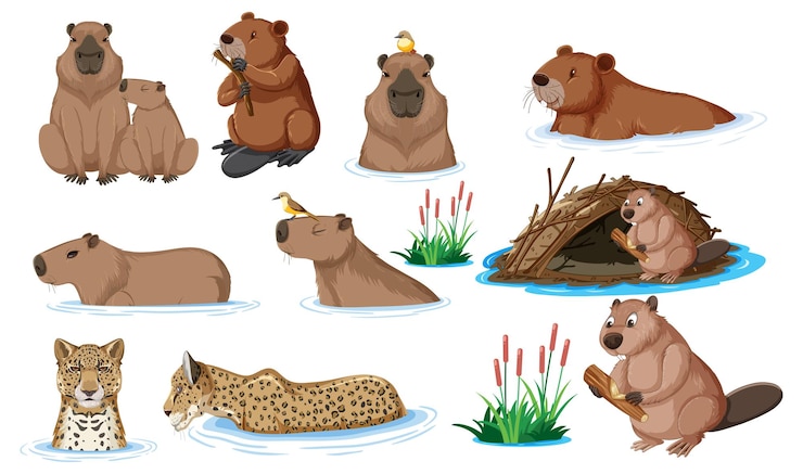Vetor grátis coleção de ilustrações diversas da vida selvagem