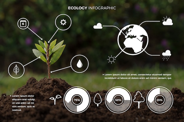 Vetor grátis coleção de infográfico de ecologia