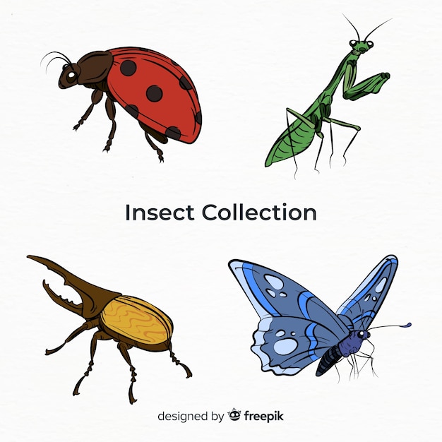 Vetor grátis coleção de insetos coloridos mão desenhada