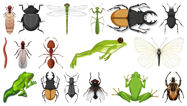 Coleção de insetos diferentes isolada no fundo branco