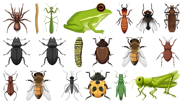 Vetor grátis coleção de insetos diferentes isolada no fundo branco