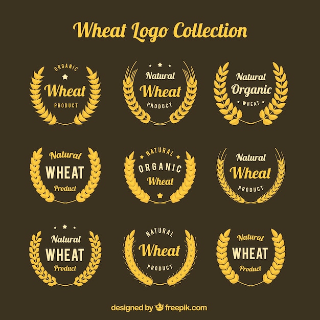 Vetor grátis coleção de logotipo de trigo plano