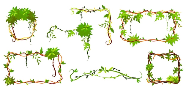 Coleção de moldura tropical verde. quadro de desenho animado em forma de lianas, galhos de plantas da selva com folhas