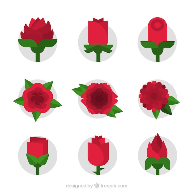 Vetor grátis coleção de nove rosas vermelhas lisas