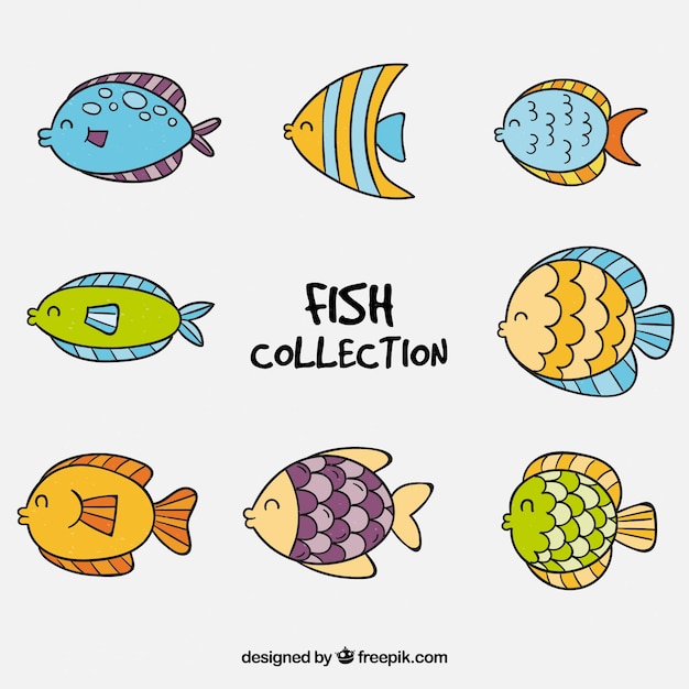Vetor grátis coleção de oito peixes