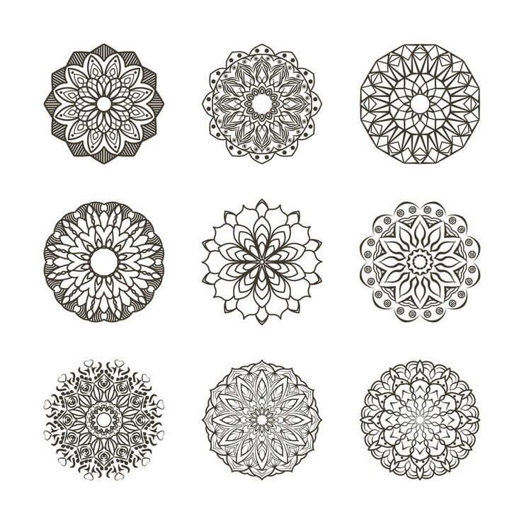 Coleção de ornamento florais