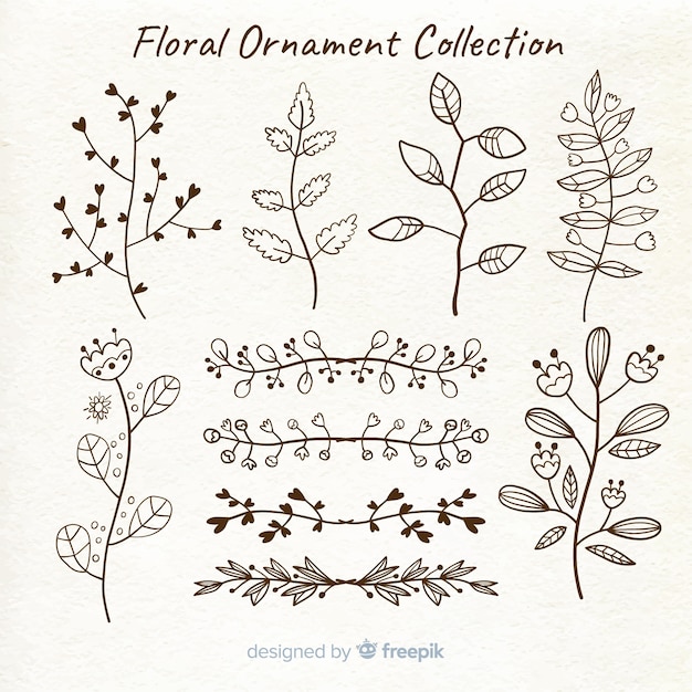 Vetor grátis coleção de ornamentos florais