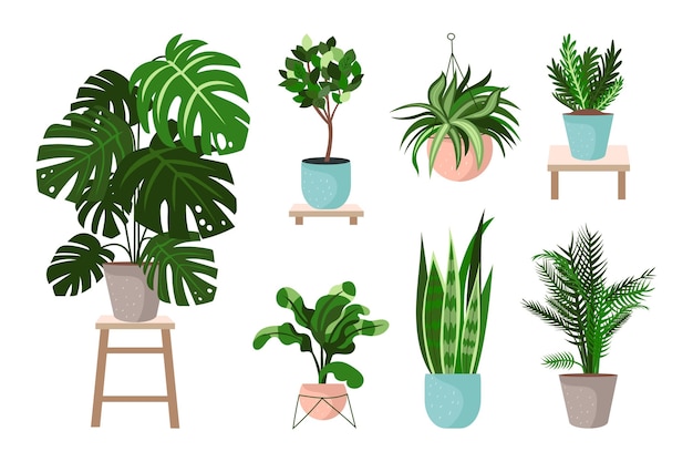 Coleção de plantas de casa de design plano orgânico