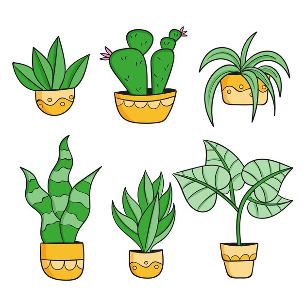 Coleção de plantas de casa desenhada à mão