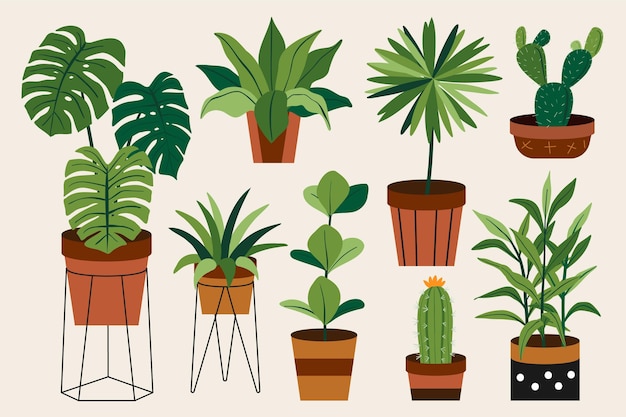 Coleção de plantas de casa desenhada à mão