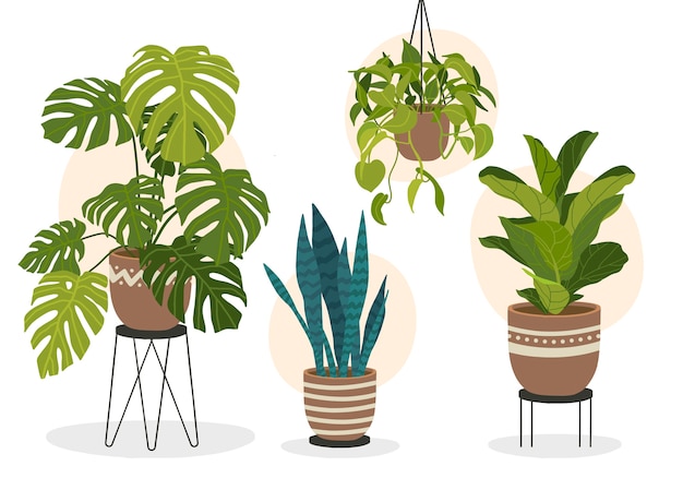 Coleção de plantas de casa desenhada à mão