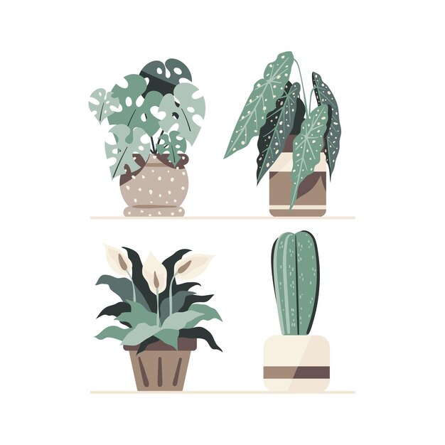 Coleção de plantas de casa desenhada à mão