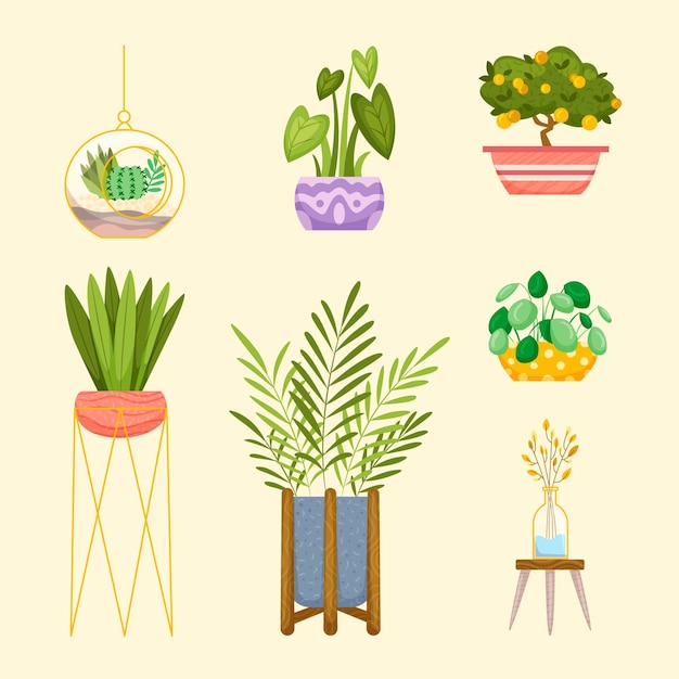 Coleção de plantas de casa desenhada à mão