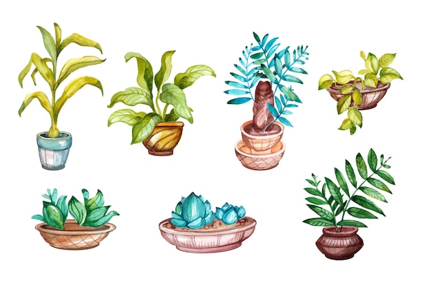 Coleção de plantas de casa pintadas à mão em aquarela