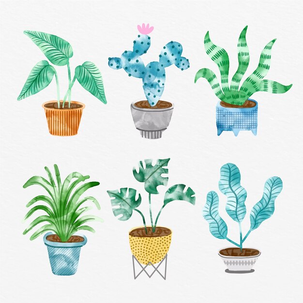 Coleção de plantas de casa pintadas à mão em aquarela